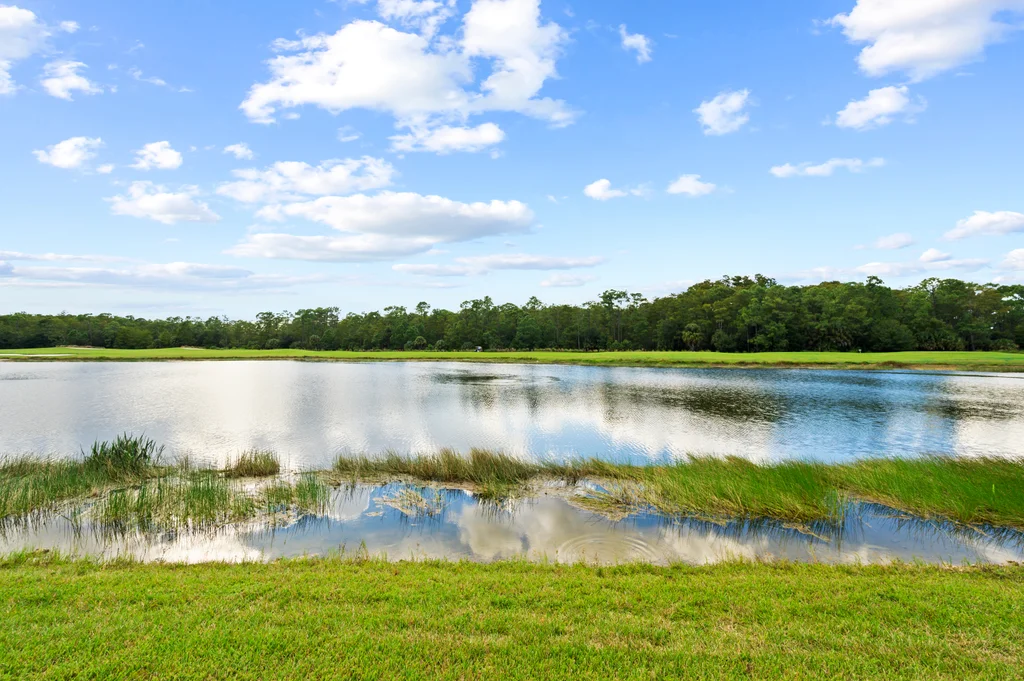 10592 Pistoia Dr, Fort Myers — JDKfoto sample photograph 4